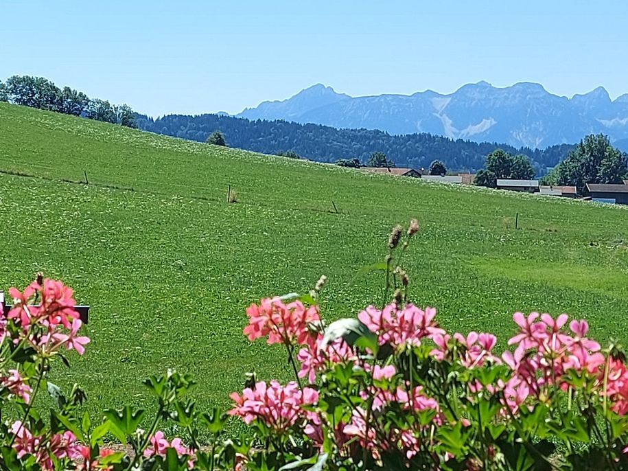 Aussicht vom Balkon