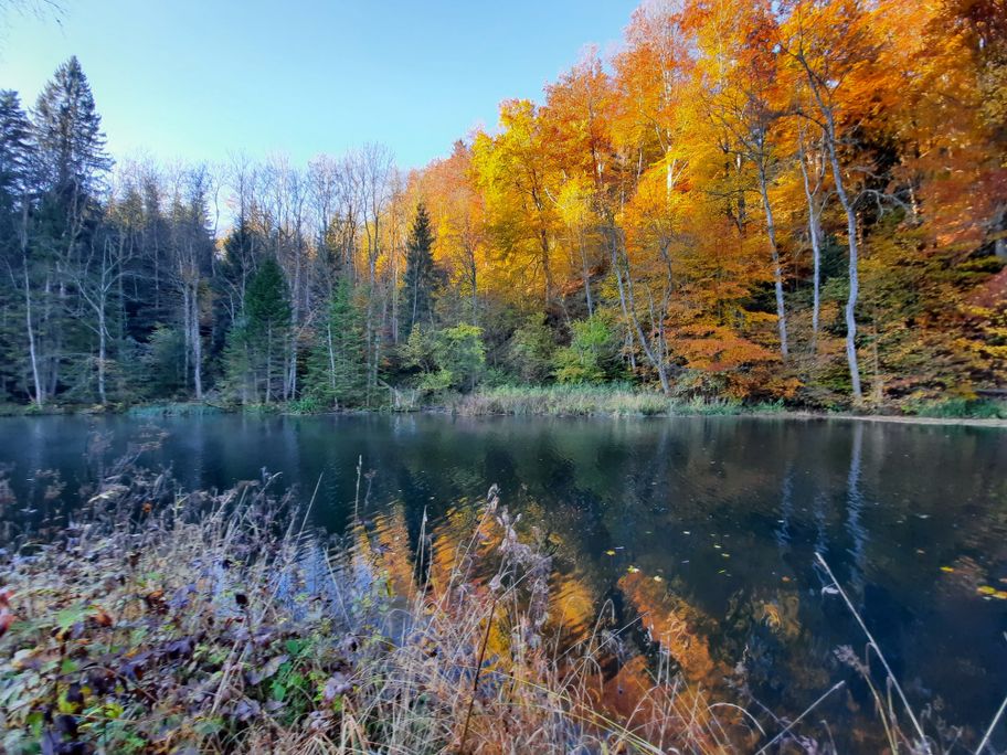 Seltmans Argen Herbst