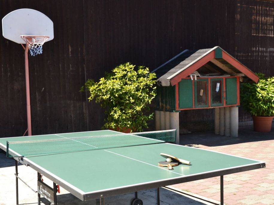 Basketballkorb, Tischtennis, Hasenstall