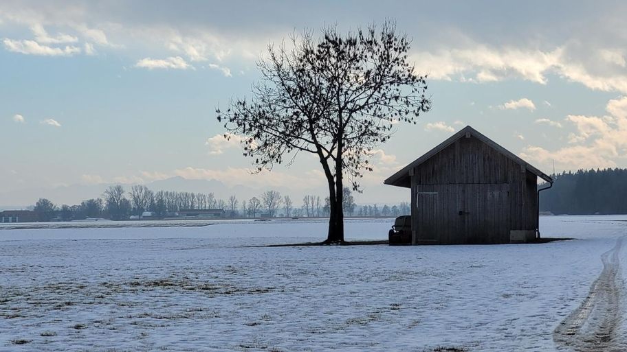Stadtwaldrunde in Buchloe