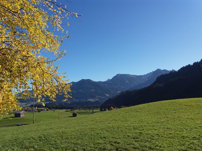 Sonnenköpfe