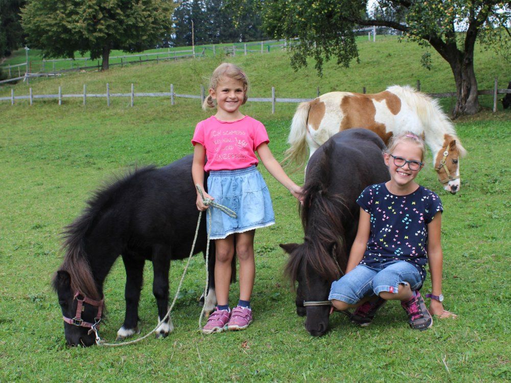 unsere Ponys