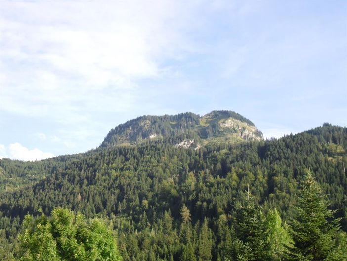 Ausblick