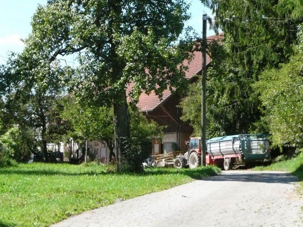 Bauer Spiess