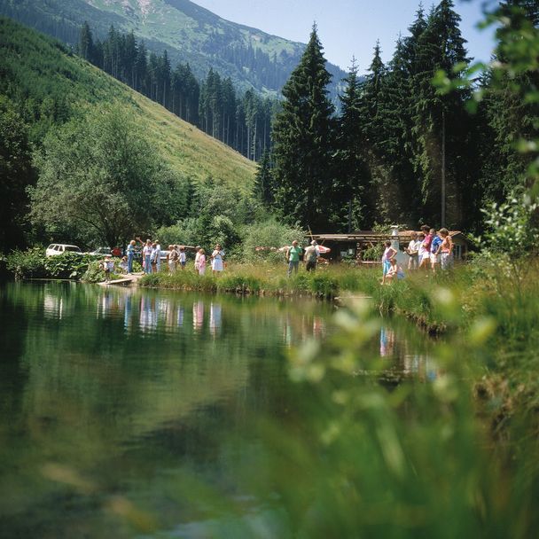 Greither Weiher