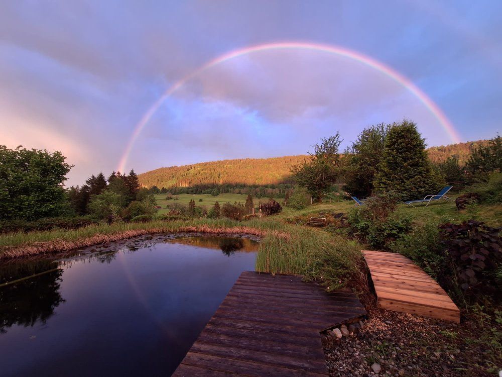 Regenbogen beim Teich