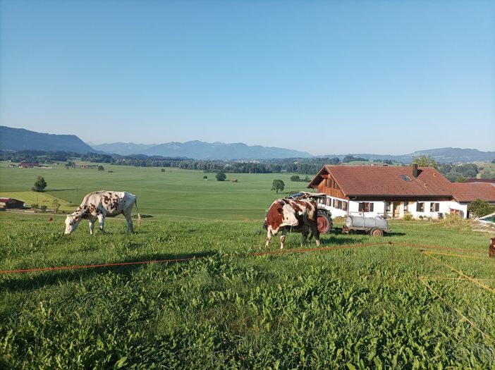 Bauernhof