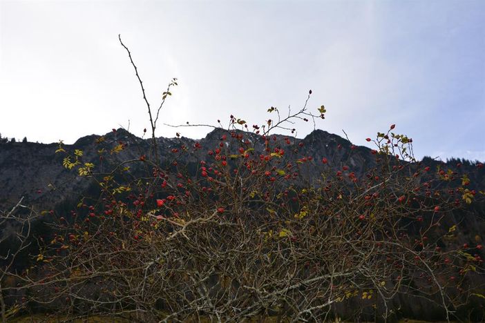 Herbst in Hinterstein