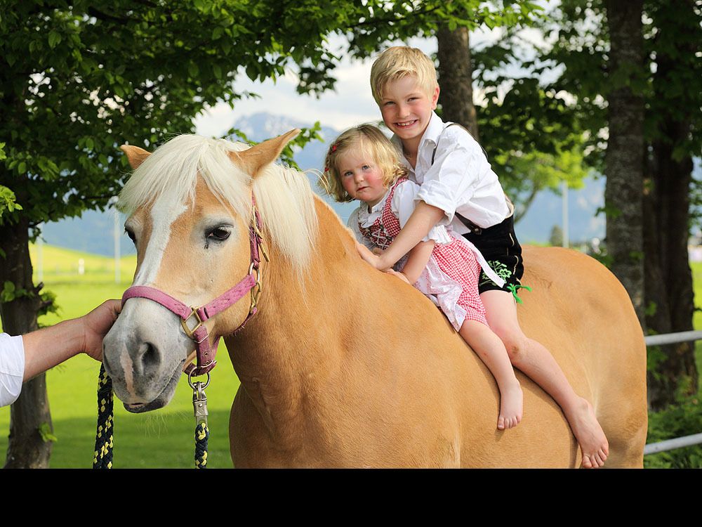 unserehaflingerdamemoni