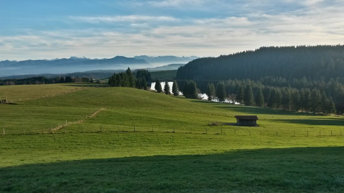 Blick über Eschacher Weiher in die Allgäuer Alpen