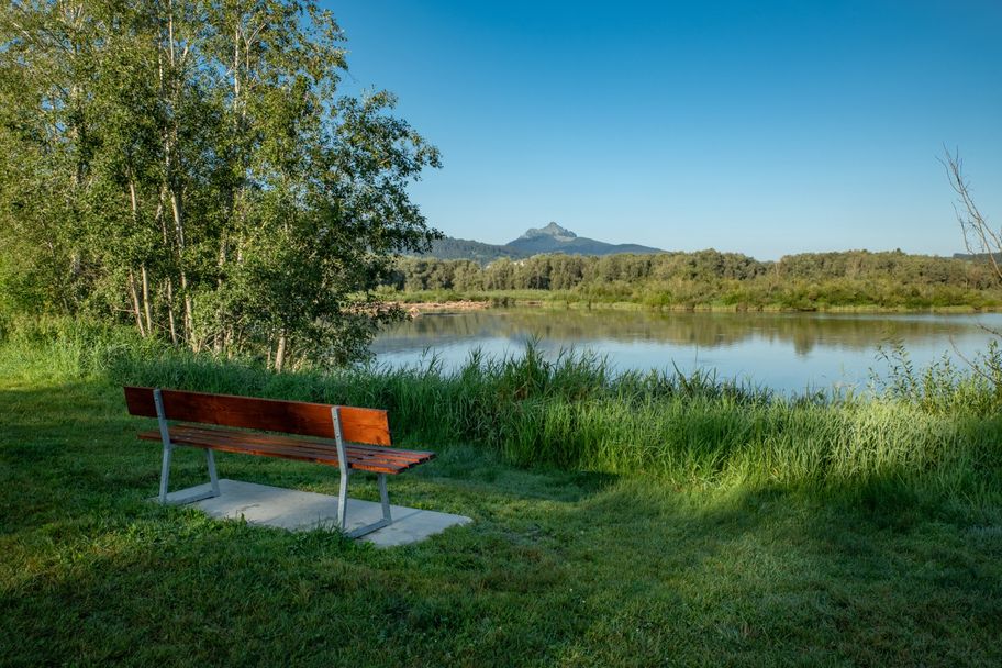 Bank am Grüntensee