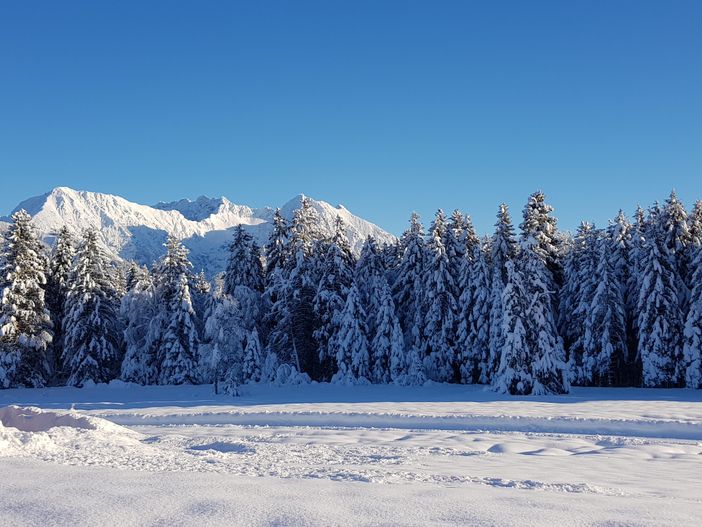 Wintermärchen