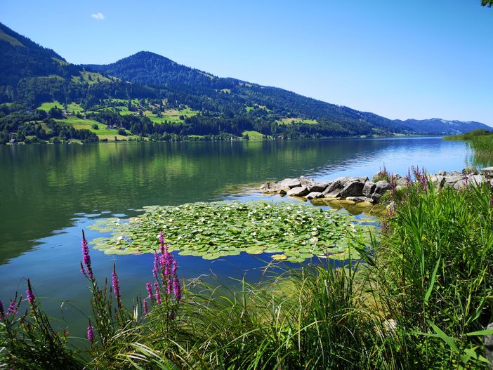Alpsee (2)