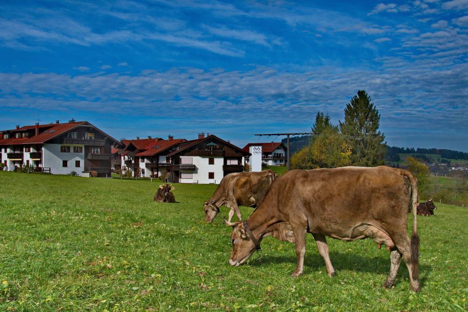 Im_Dorf_19_09_JMW_web_1920