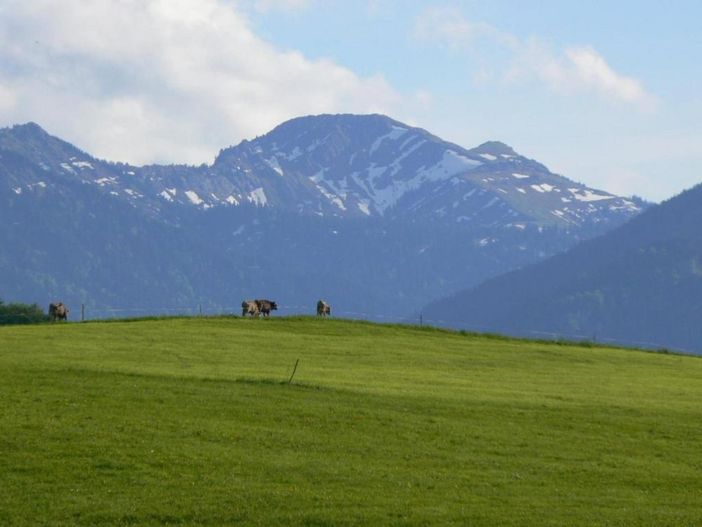 Bergblick