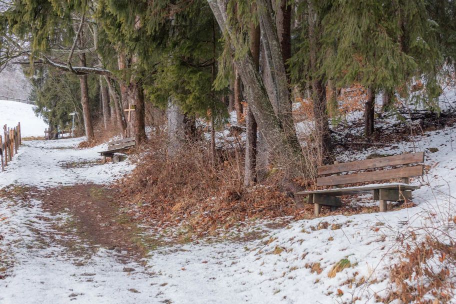 Teils verschneiter Waldwanderweg mit zahlreichen aussichtsreichen Sitzmöglichkeiten.