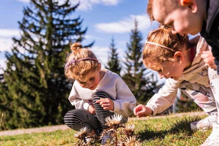 Auf Erkundungstour durch die Natur