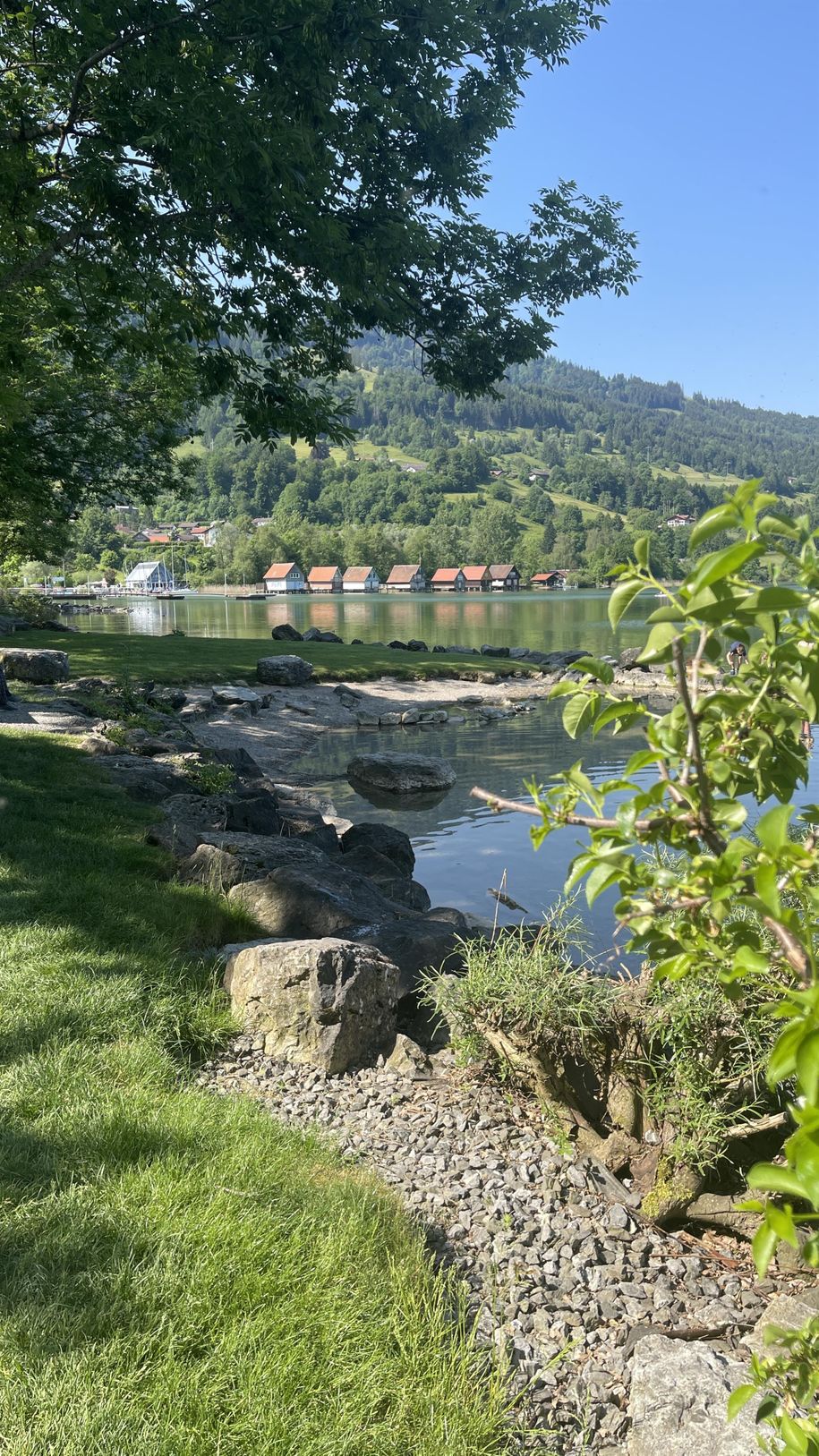 Am Alpsee