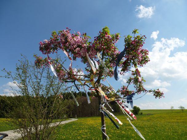 Der Fetzenbaum