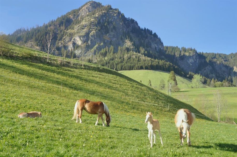 Ausblick Bergseite