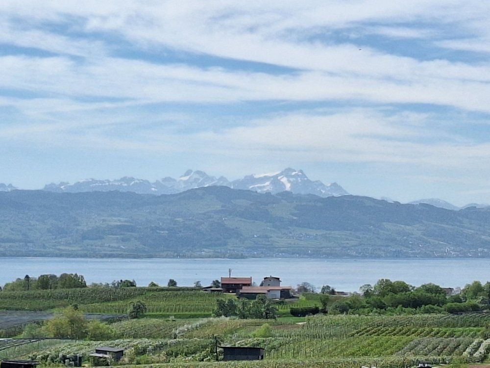 herrliche ausflüge an den bodensee