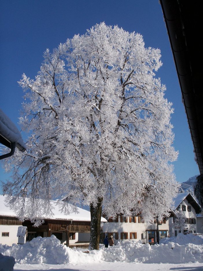 So schön kann der Winter sein