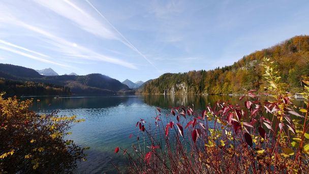 Blick vom Ostufer über den Alpsee