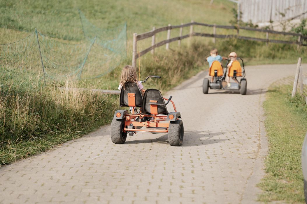 33 Dinocar Wettrennen