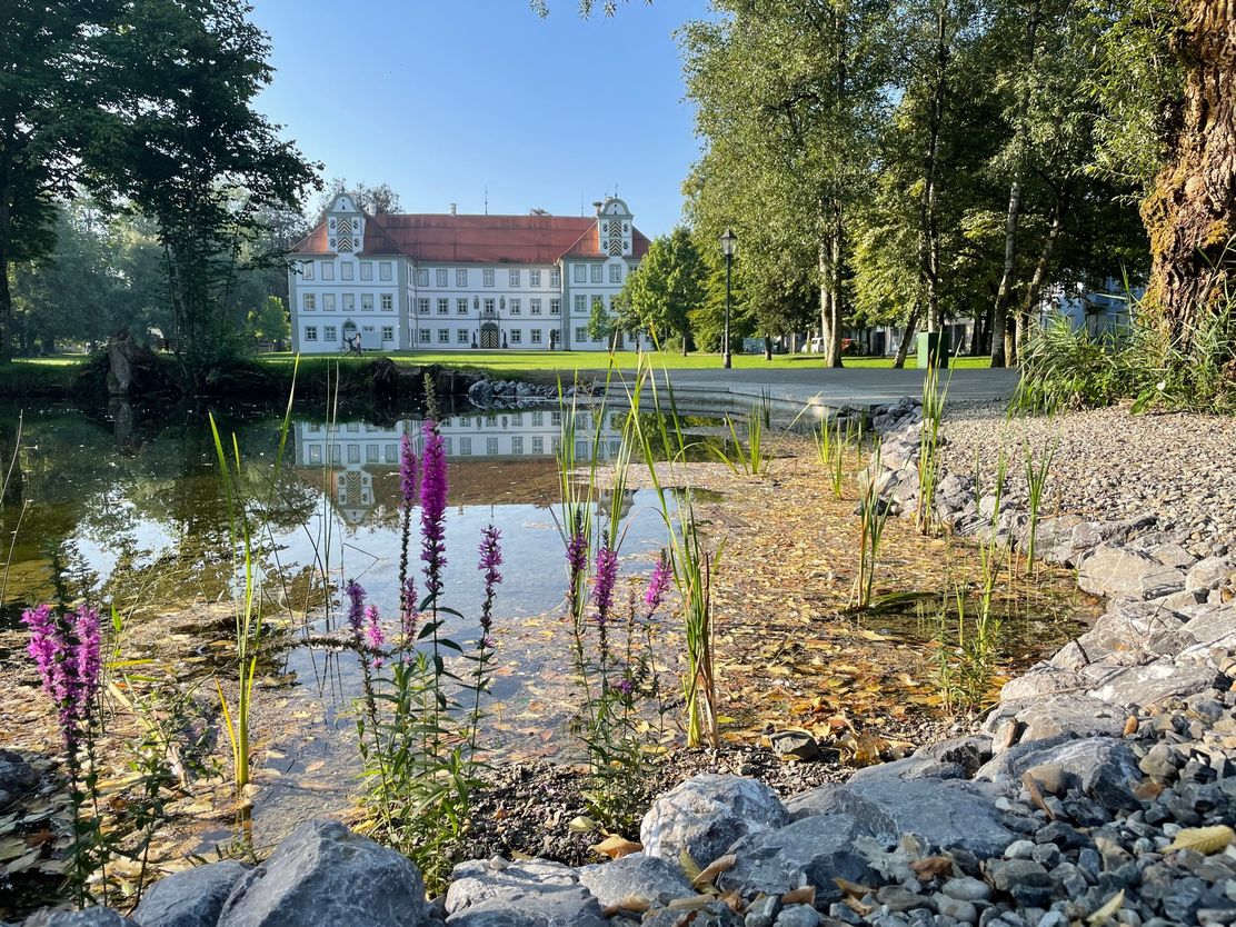 Schlosspark Weiher mit Blick auf das Neues Schloss