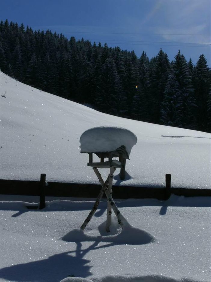 Winterimpressionen