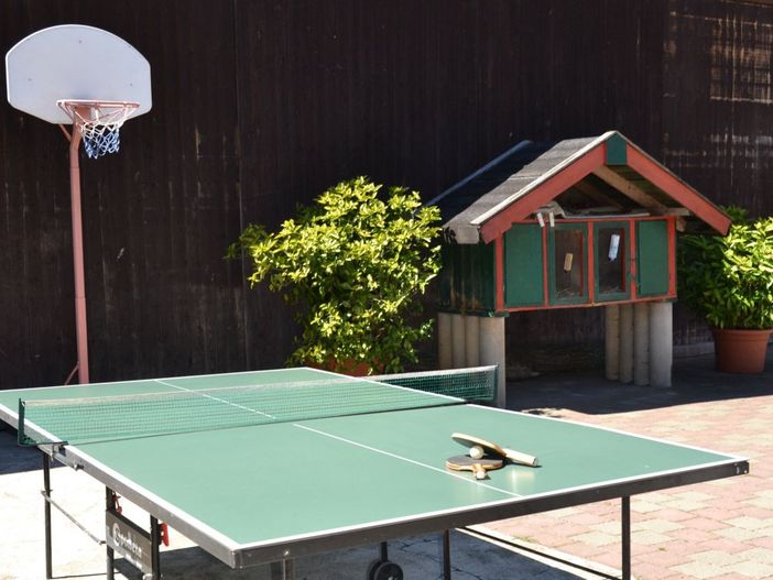 Basketballkorb, Tischtennis, Hasenstall