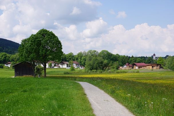 Nesselwang