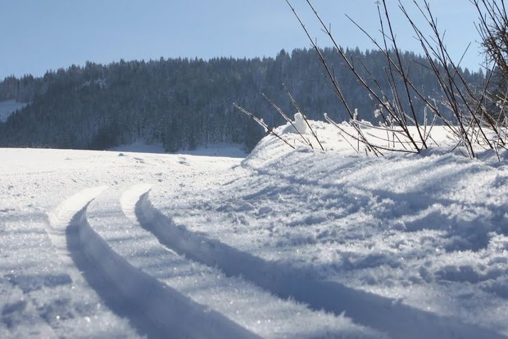 Wilhamser Trettenbach-Loipe