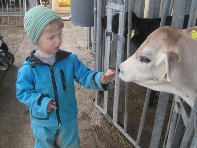 hoffentlich beisst Du mich nicht
