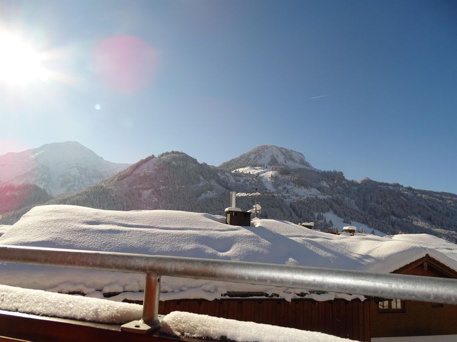 Blick Imberger Horn