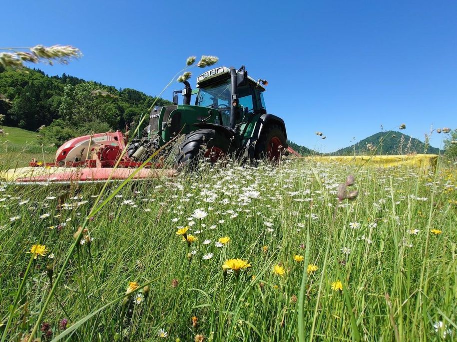 traktor blumenwiese