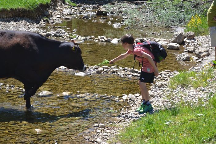 Wandern im Allgäu