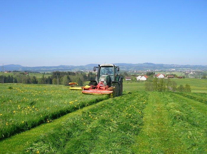 Im Frühling der erste Schnitt wird gemäht