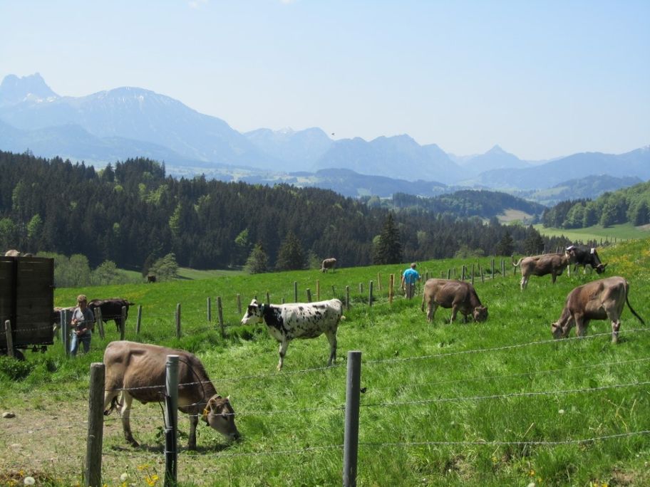 Roßhauptens schönste Ecken in Roßhaupten