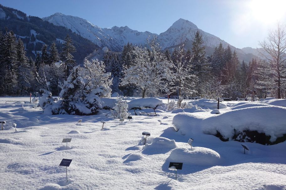 Kurpark Fischen im Winter