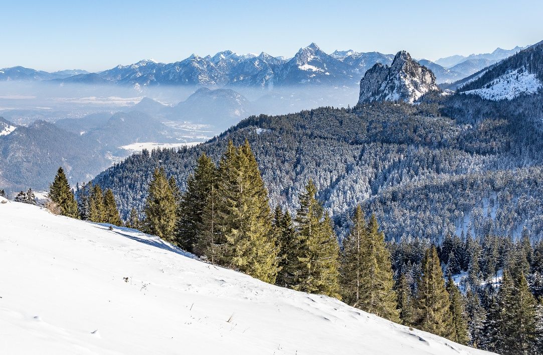 Winter am Breitenberg