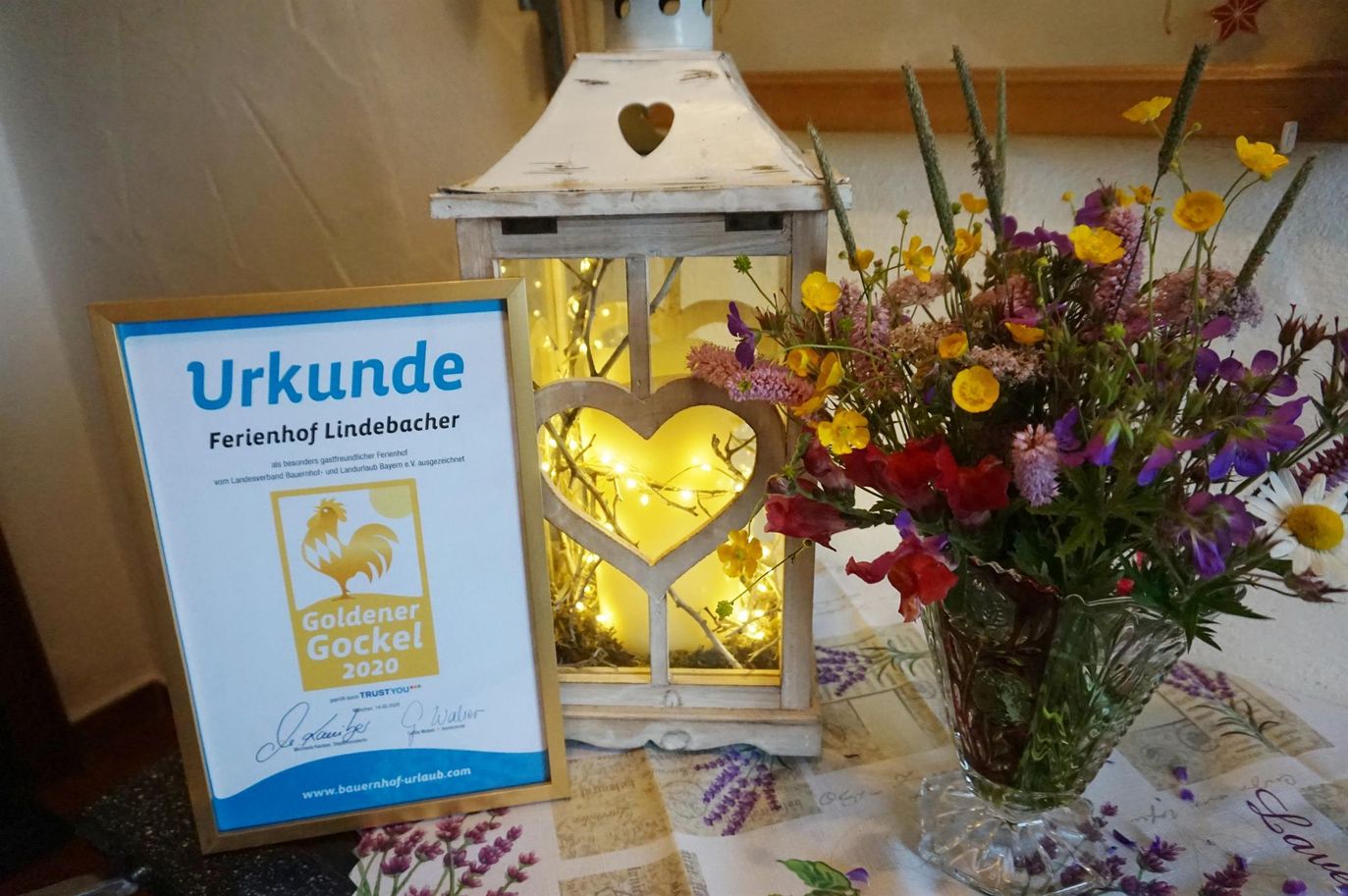 Unser schöner Gockel