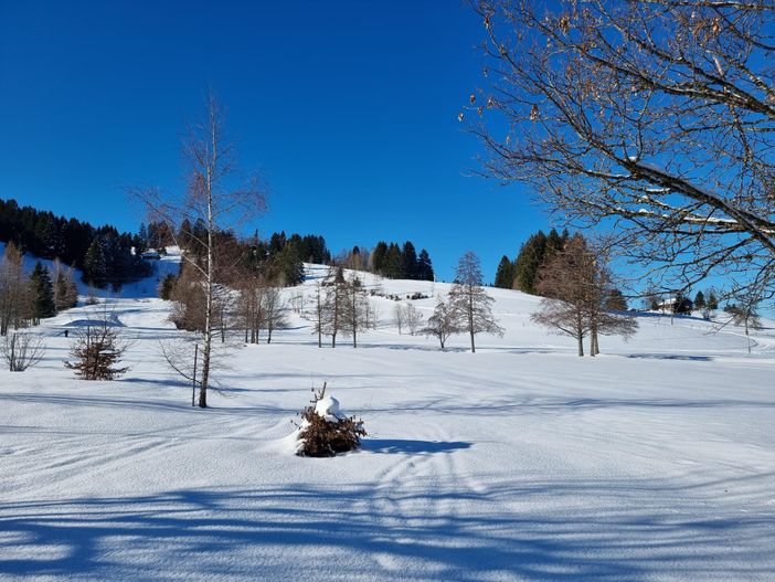 Golfplatz Steibis