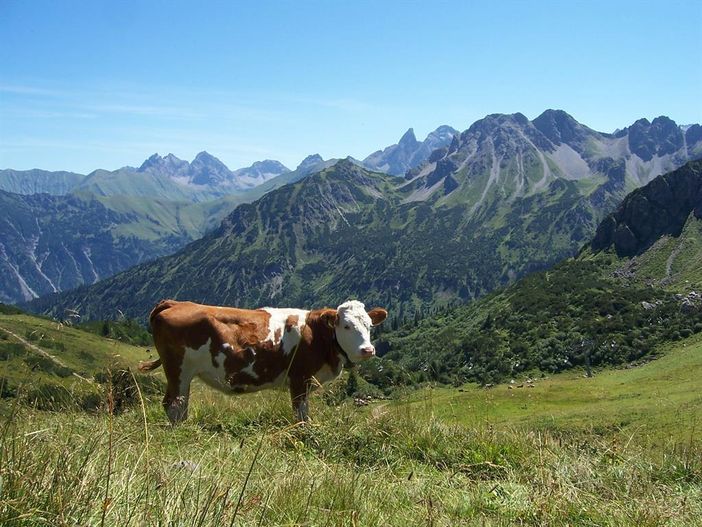 Ausflug Fellhorn