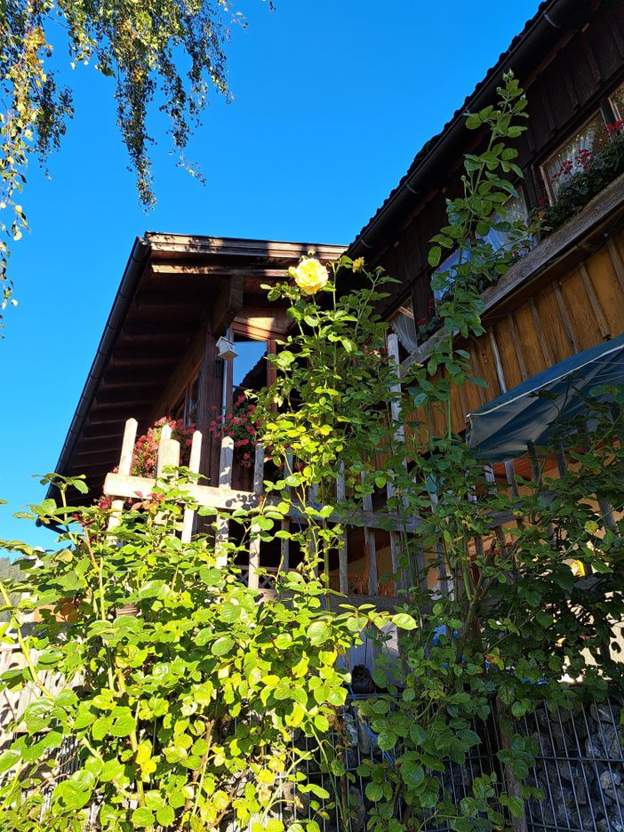 Sommerzeit am Kapf