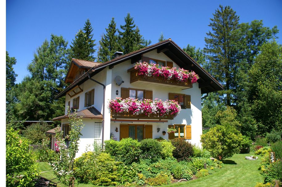 Hausbild im Sommer