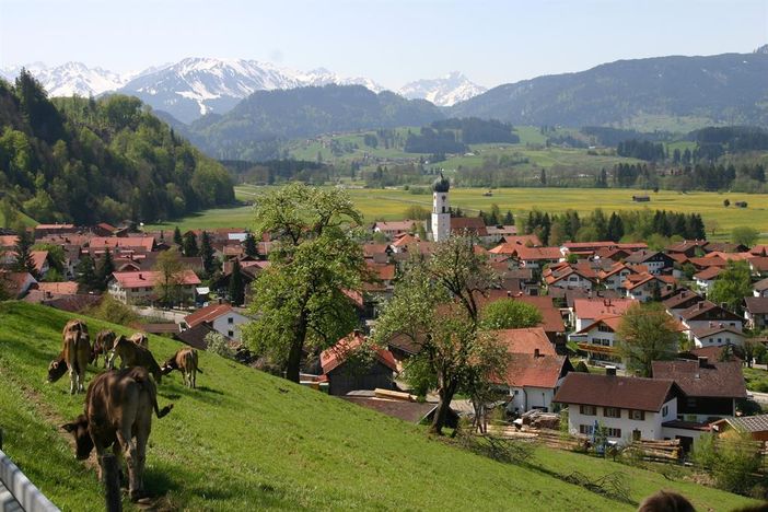Blick auf Altstädten und die Oberstdorfer Berge