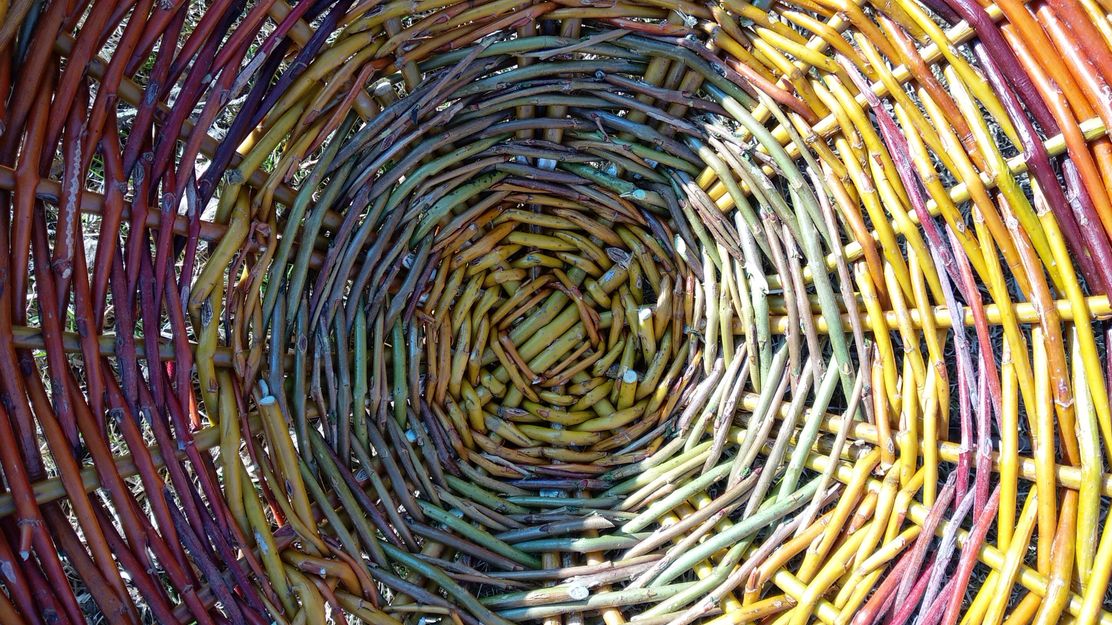 IMG_20220313_163351_quer