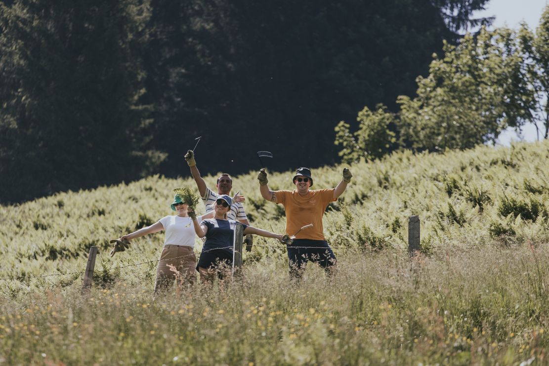 Farn Alarm_Theresa Hilber_klein