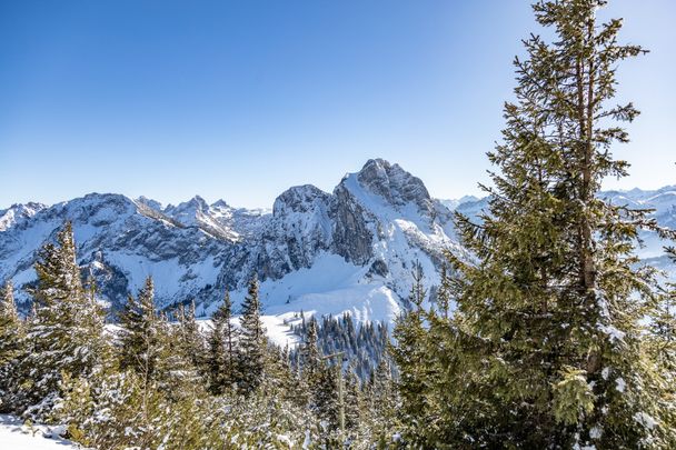 Blick vom Breitenberg zum Aggenstein